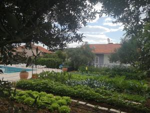 Villa Mendula Trogir - Luxury villa by the beach - heated pool - lush green garden