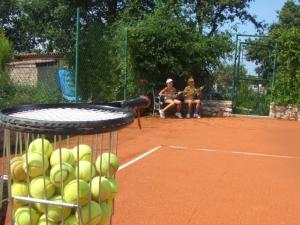 Villa in Funtana with private Tenniscourt (3418) 