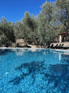 Apartments Villa St. Bar