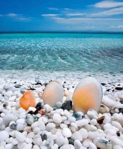 Mare e Montagna img26