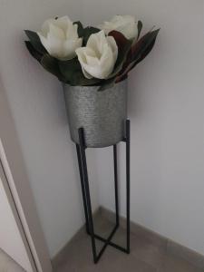 Superbe appartement à Canet en Roussilon avec vue sur mer et montagne