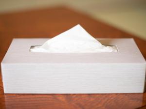 Yamanaka Lake ＲＹＯＺＡＮ - Vacation STAY 32144v