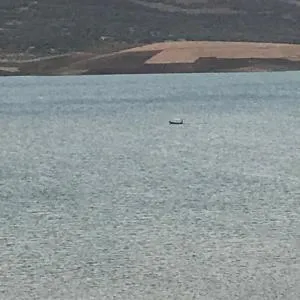 Lala Elyacout - Azzaba