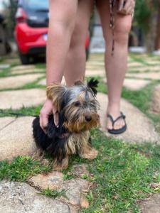 Vila Vitória Pousada