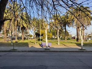 Suculento Apart