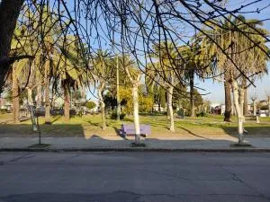 Suculento Apart - Soriano