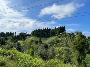 The Ridge Homestay