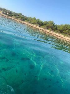 Robinson house with sea view, terrace (3469-1)