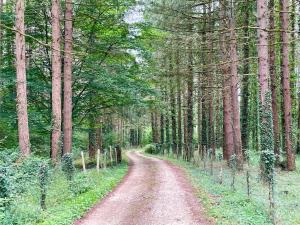 Villas Au coeur de la foret et des chateaux : photos des chambres