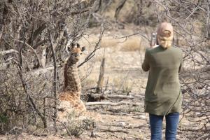 Grootvallei Guest Farm - Main lodge