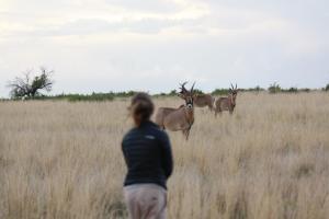 Grootvallei Guest Farm - Main lodge