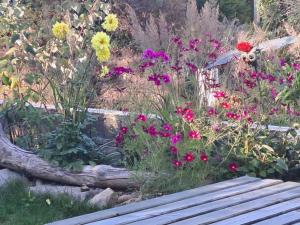Maisons de vacances Maison neuve au calme : photos des chambres