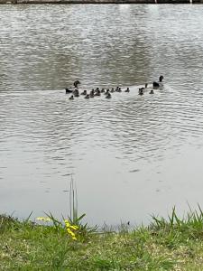 Australian Motor Home Tourist Park Twelve Mile Creek