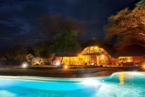 Tawi Lodge - Simba