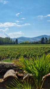 Maisons de vacances Maison de charme au coeur des vignes du Beaujolais : photos des chambres