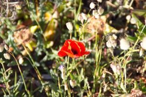 Borgo Spiaggia Vista Mare img74