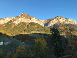 Appartements Magnifique T3 entre lac et montagne pres d'Annecy : photos des chambres