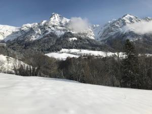 Appartements Magnifique T3 entre lac et montagne pres d'Annecy : photos des chambres