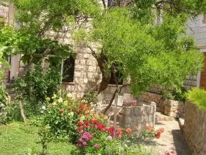 Apartments Boris - Bunica