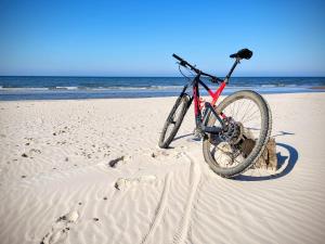 Apartament DANA piękna plaża wydmy las