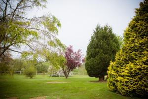 Hotels Hotel Restaurant Le Sainte Mere : Chambre Double - Vue sur Jardin