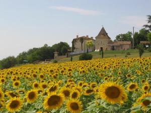 Maisons de vacances Les gites de Peyrouton: le Pigeonnier et la Borde : photos des chambres