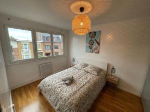 Appartements croise laroche 3 : photos des chambres