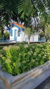 Complex Turistic Essenza - Sarinasuf