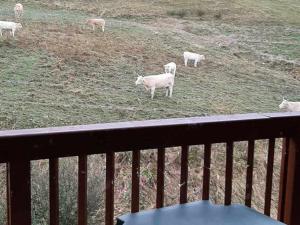 Superbe duplex 8 pers. à La Toussuire, sur pistes - FR-1-416-208