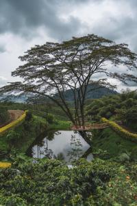 The Coffee Club Campestre