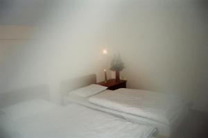 Double or Twin Room room in Planinarski Centar Petehovac