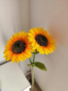 Apartamento Villa Alpispa