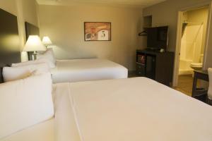 Double King room in Americana Modern Hotel