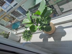 Deluxe giường đôi hoặc 2 giường (Deluxe Double or Twin)