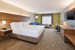 King Suite with Sofa Bed - Non-Smoking room in Holiday Inn Express & Suites Chesapeake an IHG Hotel