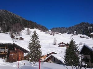 Appartements Appartement Areches-Beaufort, 2 pieces, 4 personnes - FR-1-342-200 : Appartement (4 Adultes)