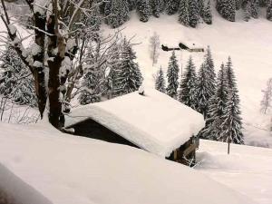 Chalets Chalet Areches-Beaufort, 5 pieces, 14 personnes - FR-1-342-239 : photos des chambres