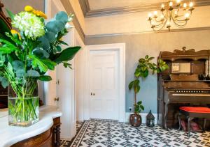 St Leonards Ground Floor Apartment