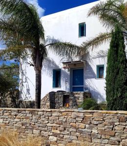 Villa Sofi in Saint George Antiparos (pool&sea)