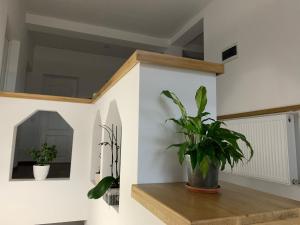 Casa Muntelui Râșnov