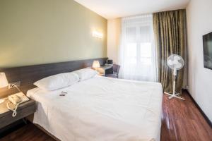 Classic Double Room room in Hotel Montana