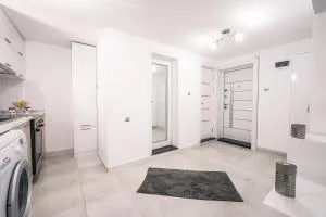 The moon - 桑丹斯基