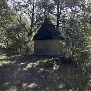 Maisons de vacances Le Manoir de Carlucet Gite : photos des chambres