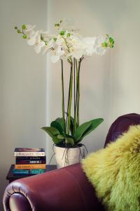 The Loft at Hewletts Farm - Stunning Apartment on The Cotswold Way Close to Cheltenham