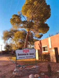 Encuentro de Almas (Soulmate Encounter)