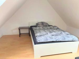 Zentrales Apartment in Leverkusen
