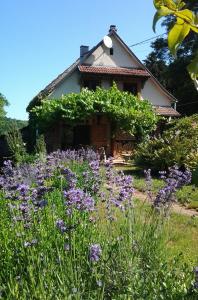 Maisons de vacances La Colline aux Oiseaux : photos des chambres