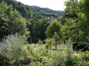 Maisons de vacances La Colline aux Oiseaux : photos des chambres