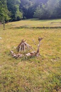 Maisons de vacances Maison a l'ancienne avec grand terrain , animaux bienvenus : photos des chambres