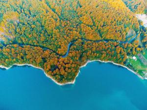 Complex turistic Traisteni din Valea Doftanei